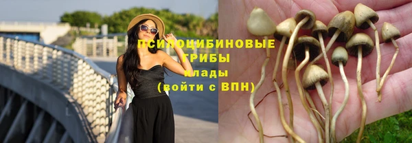 круглые Богданович
