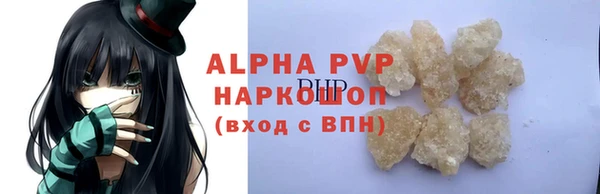 spice Богородск