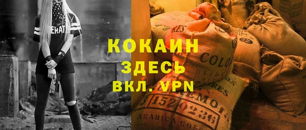 spice Богородск