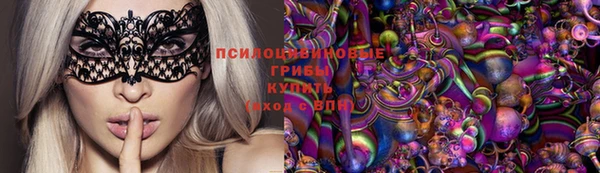 МДМА Грязовец