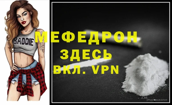 spice Богородск
