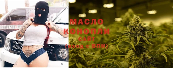 spice Богородск