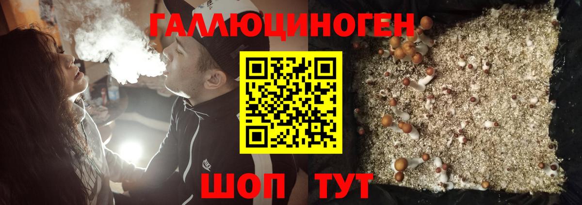 Наро-Фоминск  продажа наркотиков  Псилоцибиновые грибы ЛСД  Вход с VPN  Галлюциногенные грибы прущие грибы 