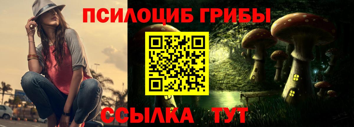 Псилоцибиновые грибы Psilocybe Наро-Фоминск